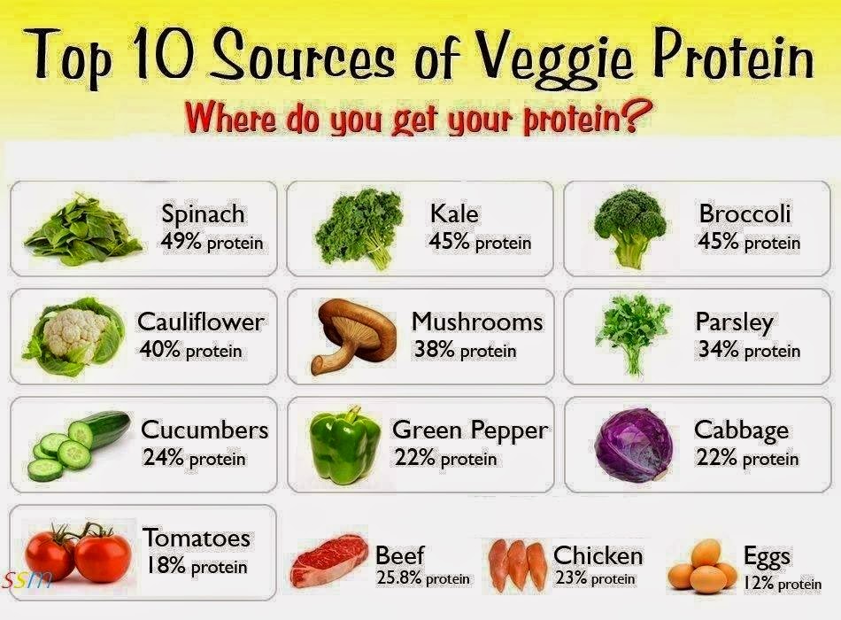 Vegetarian Sources Of Protein