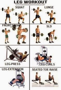  Exercises For The Legs