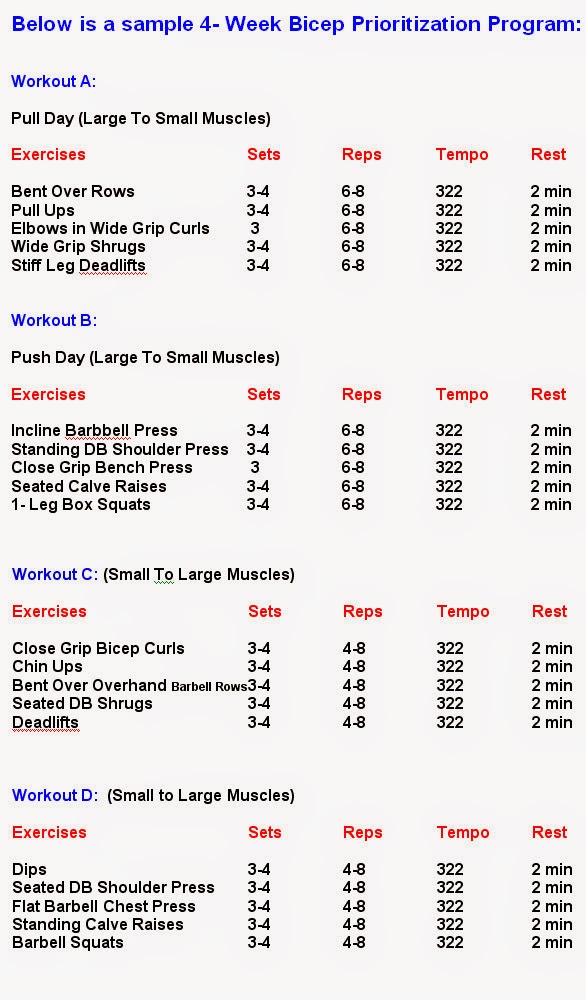 Best Bicep Workouts