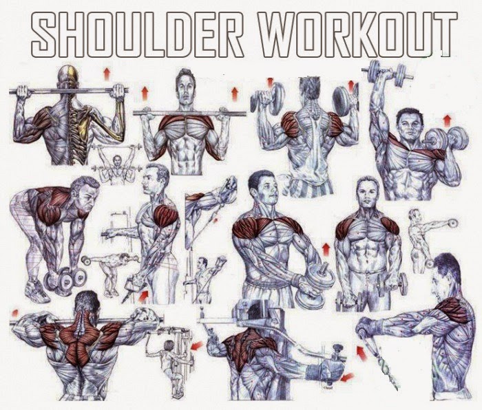  Shoulder Exercises For Mass