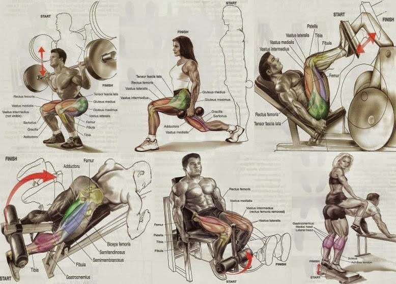 Exercises For The Legs