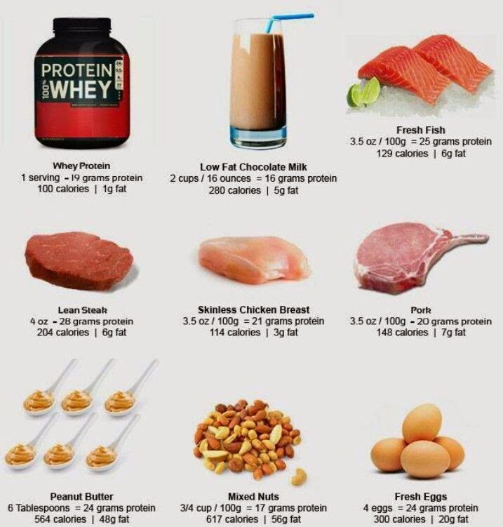 Best Protein Foods