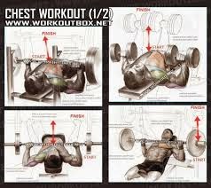Chest Workouts 