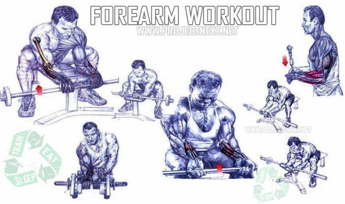 Forearm Exercises