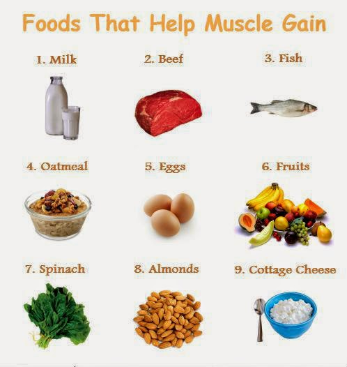 High Protein Diet for Muscle Building  Foods and Benefits