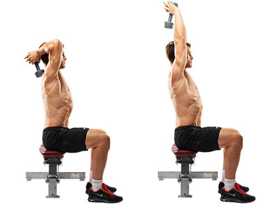 Seated One-Arm Dumbbell Triceps Extension