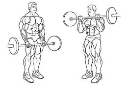 Close-grip standing barbell curl