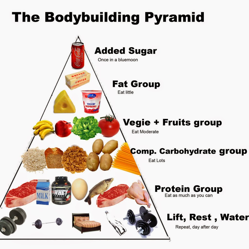 bodybuilding Nutrition