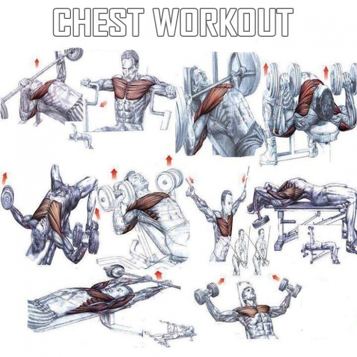 How To Build Chest Muscles