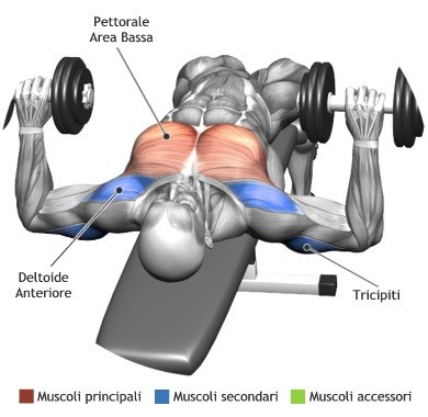  Chest Workouts