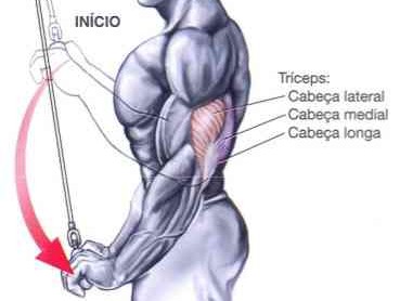 Triceps Exercises