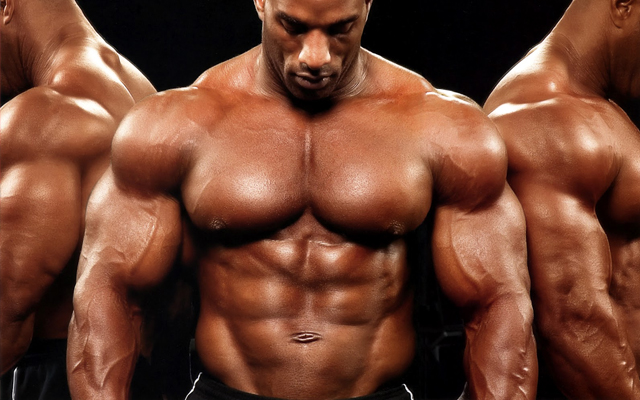 How to Building Muscle Mass