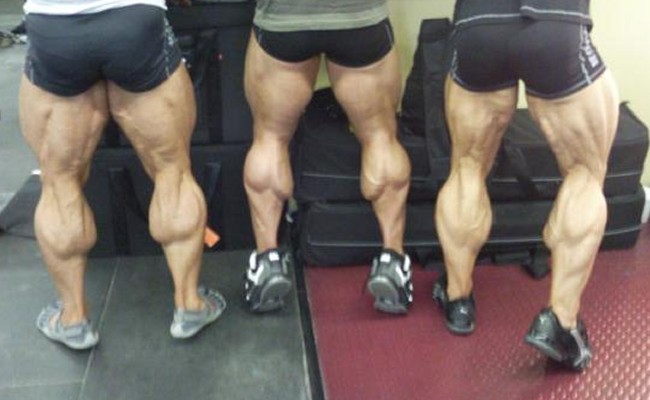 Calves Muscles 