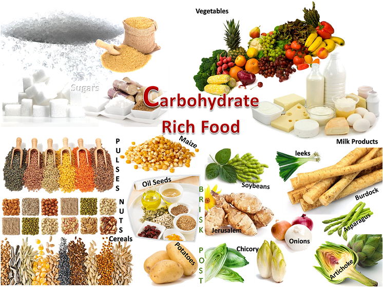 Top Carbohydrate Foods