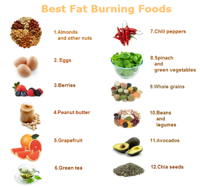 Top Muscle Building Foods: Top Fat Foods