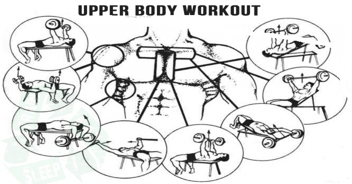 Upper Body Workout Plan