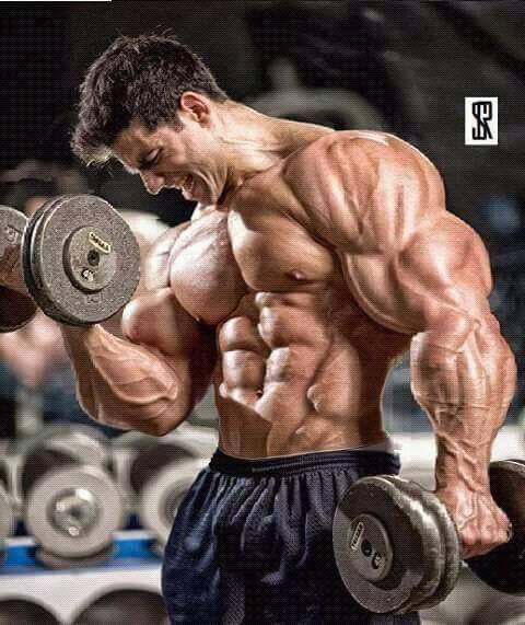 Build Muscle Mass