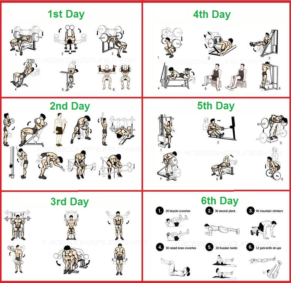  6 Day Bodybuilding Program
