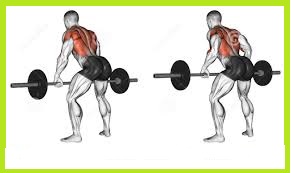 Bend Over Barbell Lift