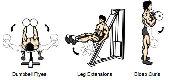 Bodyweight Exercises