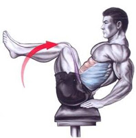 Lower Abdominals, Hips - V Sit