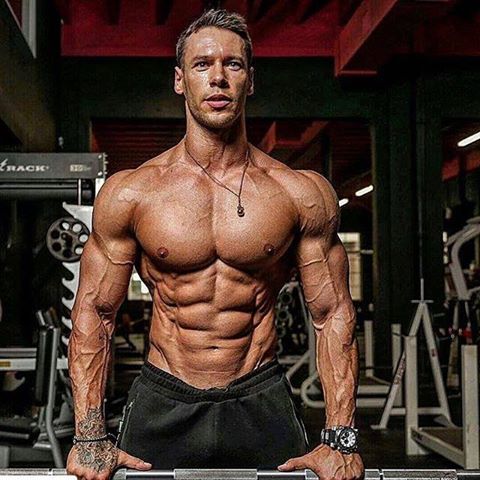 Best Muscle Fitness Training System – all-bodybuilding.com