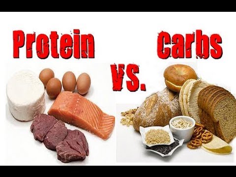 Protein or Carbohydrates