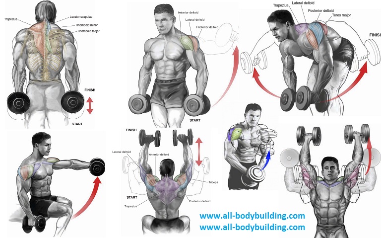 Dumbbell Exercises for Shoulders 