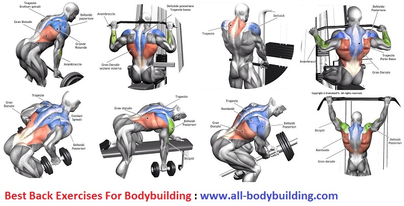 Back Exercises For Bodybuilding