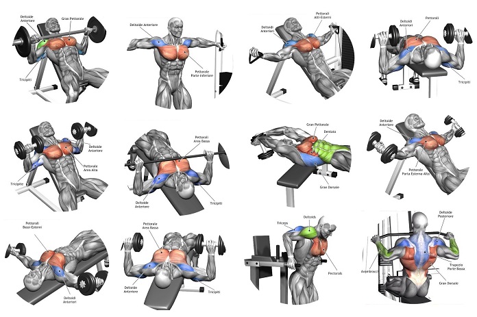 5 Tips For the Best Chest Workout all bodybuilding com
