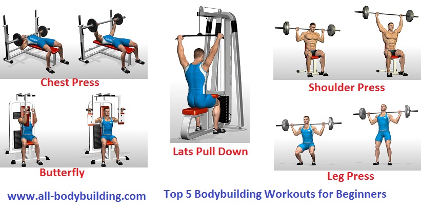  Bodybuilding Workouts for Beginners