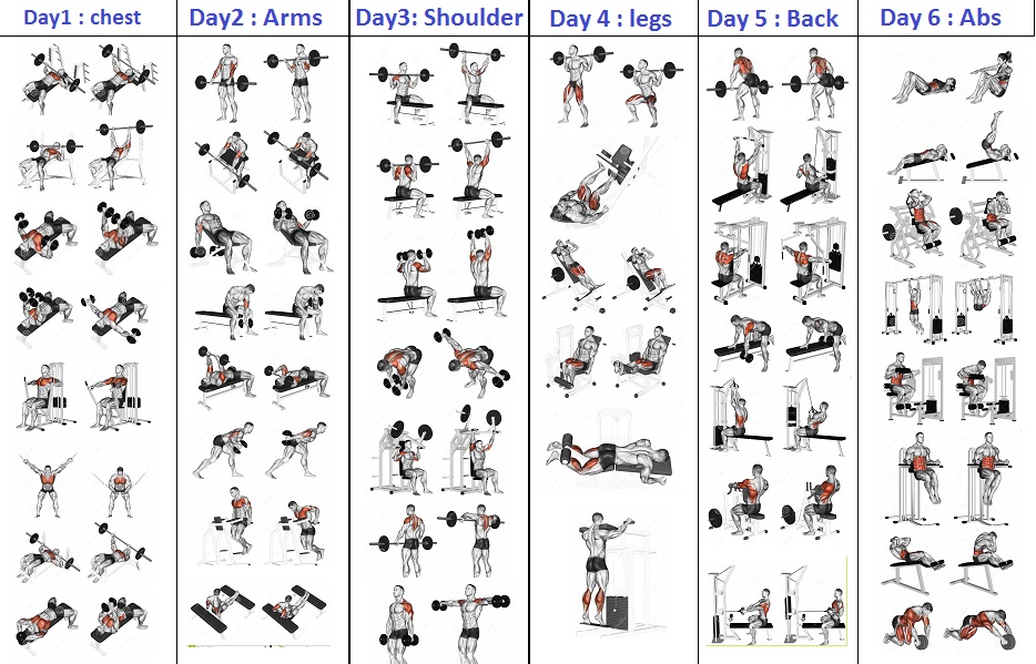 5 Day Workout Routine