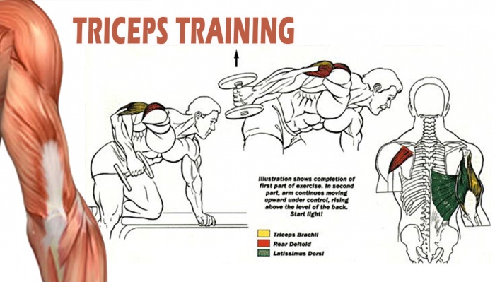 Tricep Exercises for Mas