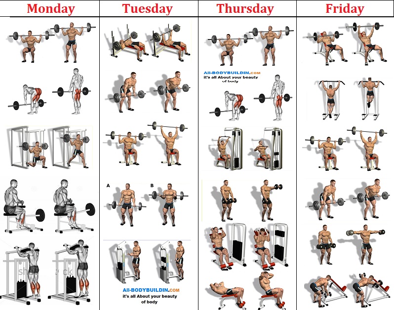 4 Day A Week Beginner's Workout