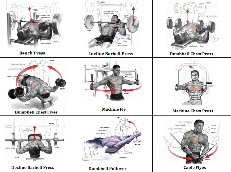 Workout Chest Routine