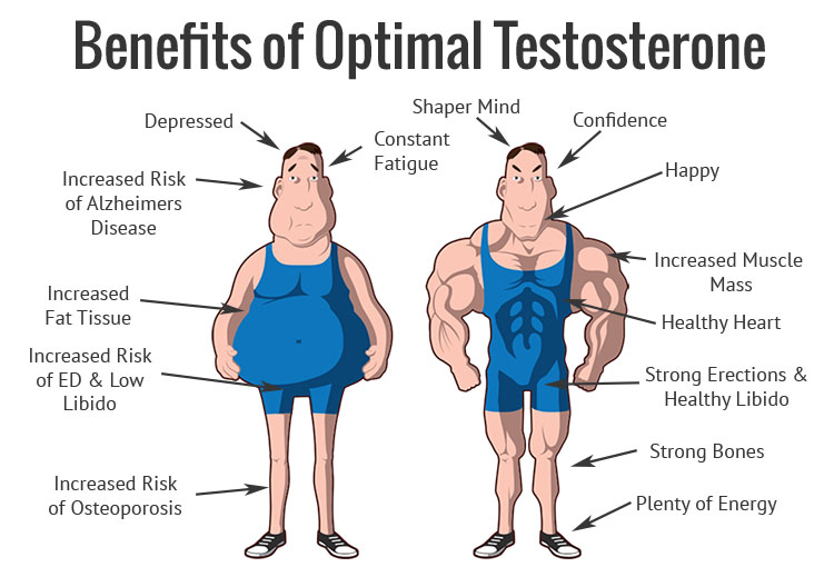 Testosterone to Get Bigger Muscles