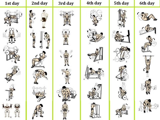 6 Day Workout Routines