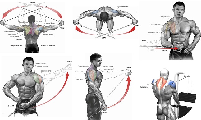Shoulders Cable Exercises 