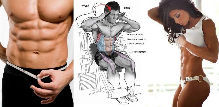 Best Ab Exercises for Building 6-Pack Abs