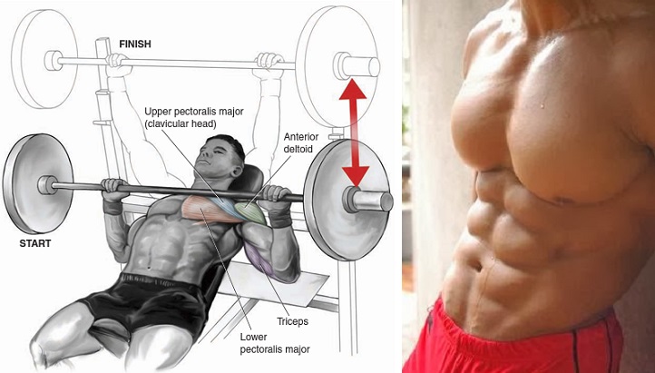 Chest Muscle Building Exercises 