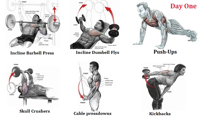 Chest & Triceps