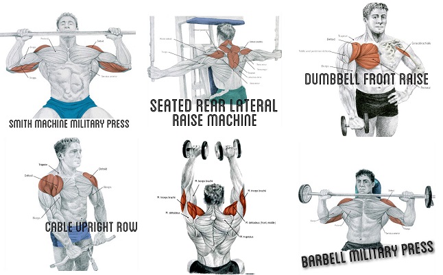 Exercise to Build Big Shoulder Muscles
