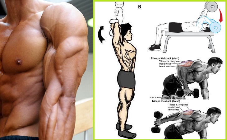 Best Tricep Workout 