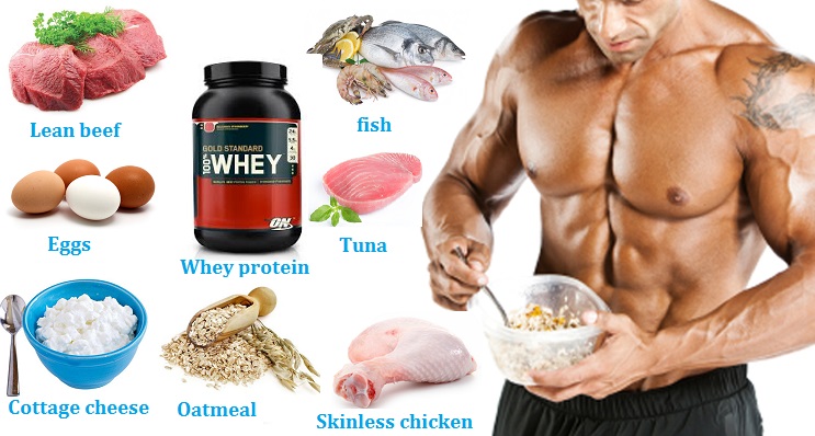 Muscle Building Nutrition Food 