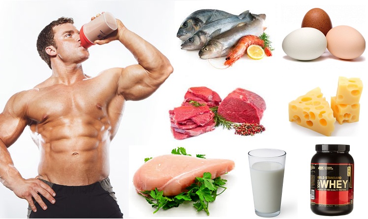 Best 5 Proteins For Building Muscle