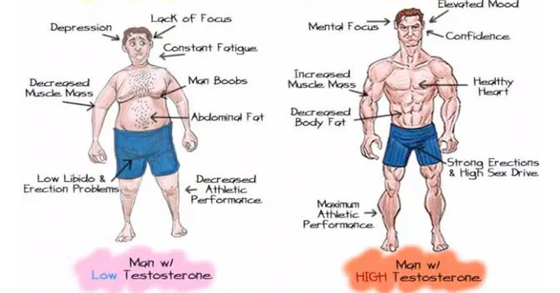 Boost Testosterone Levels And Build More Muscle
