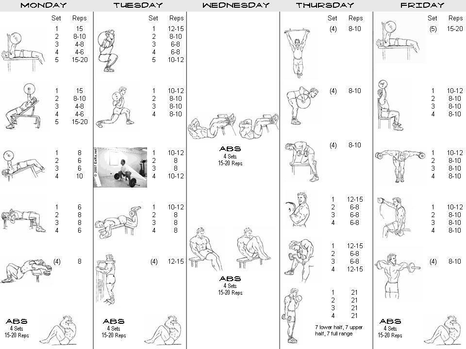 Body Building Routines