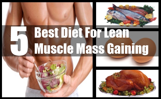 Best Diet To Gain Muscle