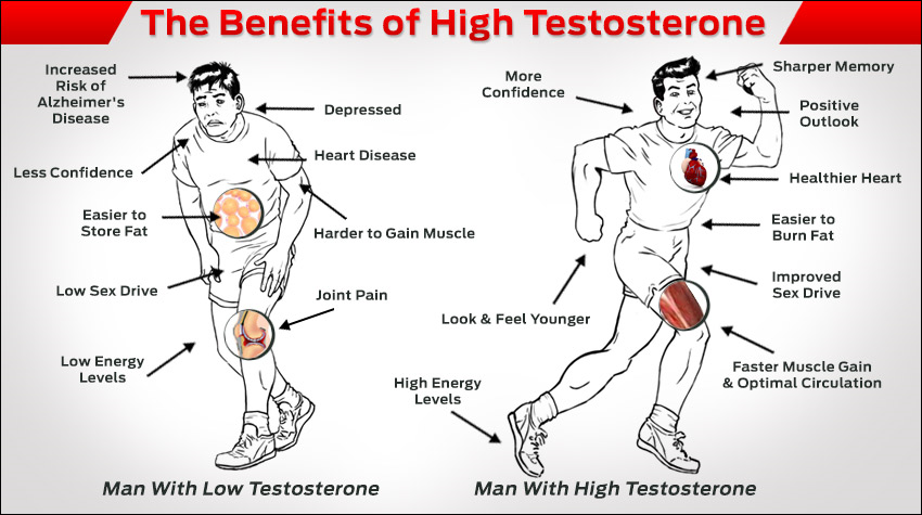 How Can I Increase My Testosterone 