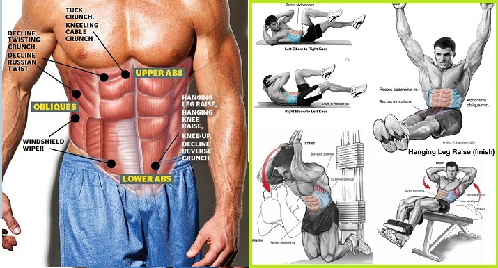 Best Exercises for Your Abs